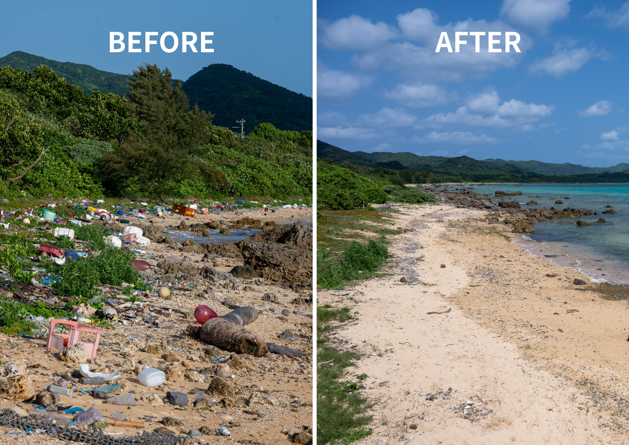 石垣島で「Green &Bluechallenge2026」を実施しました。case02画像 